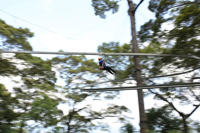 Chiang Mai Zip Line Experience - Last Words