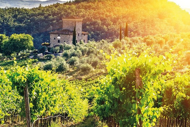 Chianti and Castle Small Group Tour From San Gimignano - Last Words
