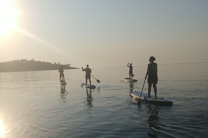 Chrysi Ammoudia Sunrise SUP Experience - Booking and Pricing