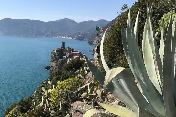 Cinque Terre Small Group Tour With Lunch From Florence - Last Words