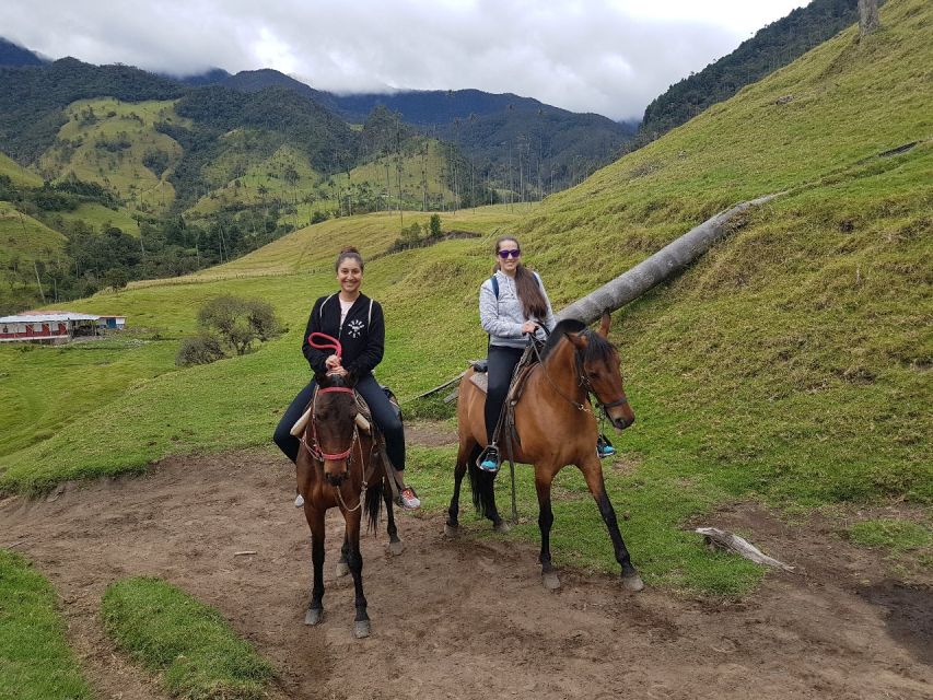 Cocora Valley and Salento Tour With Horseback Ride - Recommendations and Tips