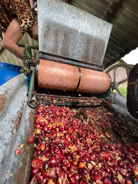 Colombia: Private Coffee Tour - Return and Farewell