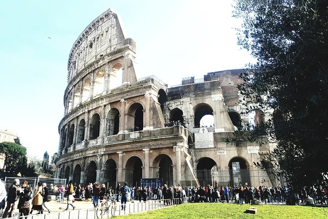 Colosseum Private Tour. - Support and Inquiries