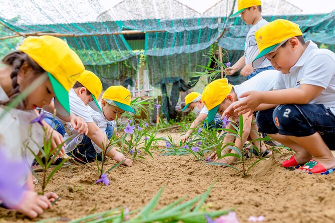 Cooking Class Hoi An - Organic Garden - Farming Tour - Last Words