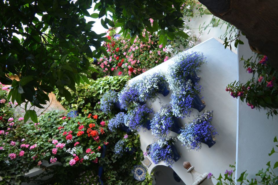 Cordoba: Patios & Flowers Private Walking Tour - Last Words