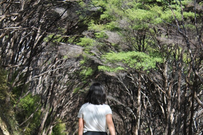 Coromandel Coastal Walkway: Full-Day Hike and Bike Tour - Common questions