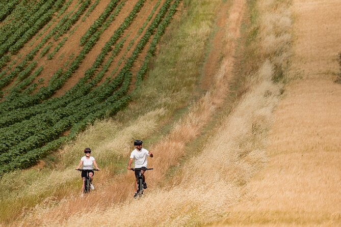 Cortona - Ebike Tour and Wine Tasting in the Val Di Chiana [40] - Accessibility and Traveler Information