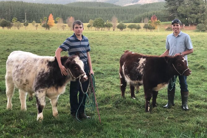 Country Experience at Mohaka River Farm - Last Words