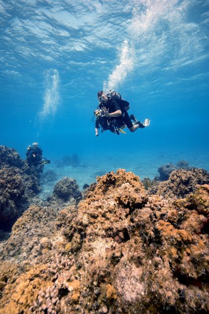 Cozumel: Discover Scuba Diving - Common questions