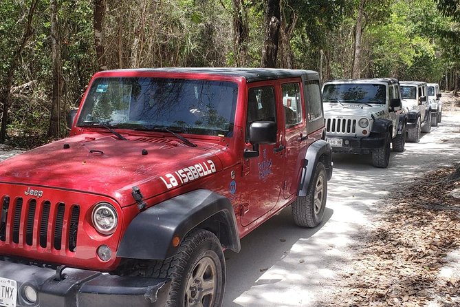 Cozumel Jeep Adventure to Jade Caverns With Lunch and Snorkel - Guide Expertise and Local Insights