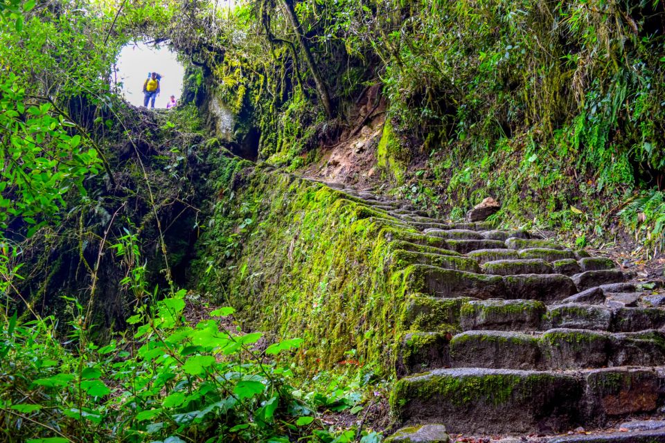 Cusco: 4-Day Inca Trail to Machu Picchu Small Group Trek - Day 4 - Wiñay Wayna to Machu Picchu