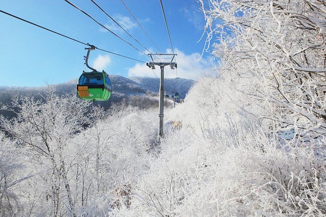 Daemyung Vivaldi Park Resort 2D 1N Hwacheon Ice-Fishing Festival - Transportation Information