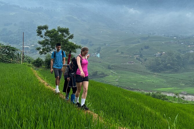 Daily Tour: Sapa Trekking in Muong Hoa Valley, Bamboo Forest - Local Culture Insights