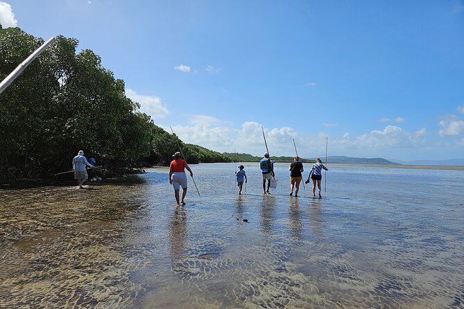 Daintree Rainforest, Mossman Gorge and Aboriginal Beach Day Tour - Contact and Support