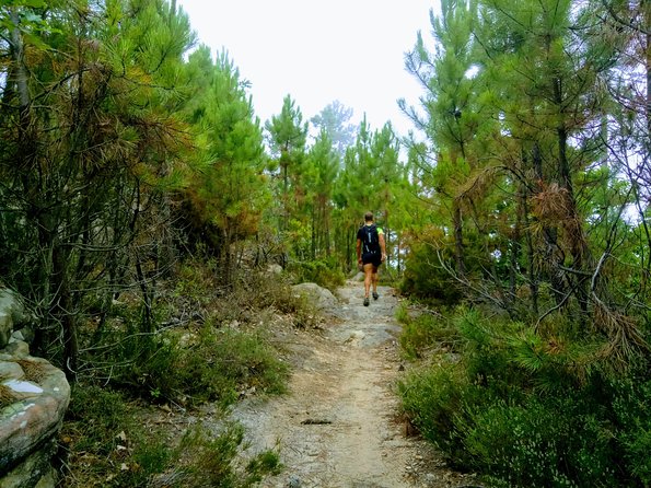 Day Hike in the Mountains of Sanremo - Reviews and Ratings