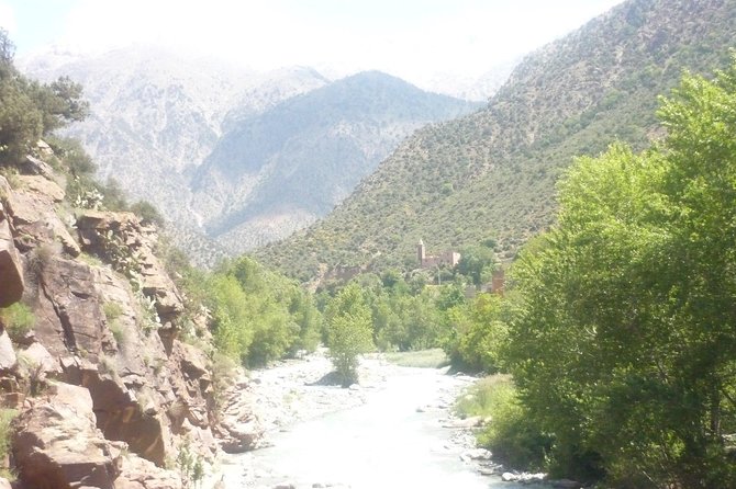 Day in the Atlas Mountains With Camel Ride - Review Verification Process