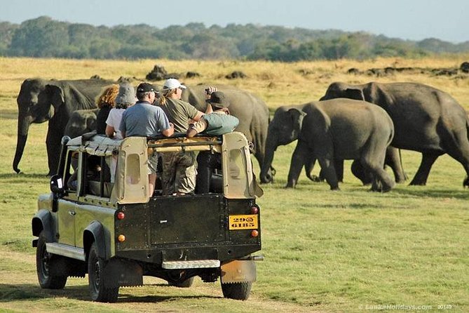 Day Tour From Colombo to Sigiriya, Pidurangala Rock & National Park Safari - Assistance Options