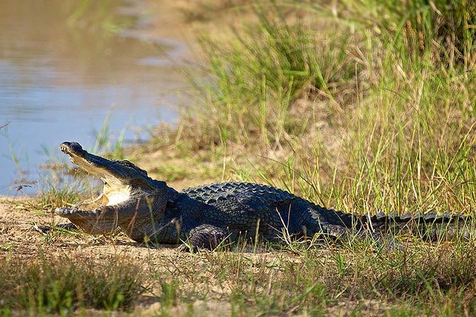 Day Tour to Wilpattu National Park From Colombo - Common questions