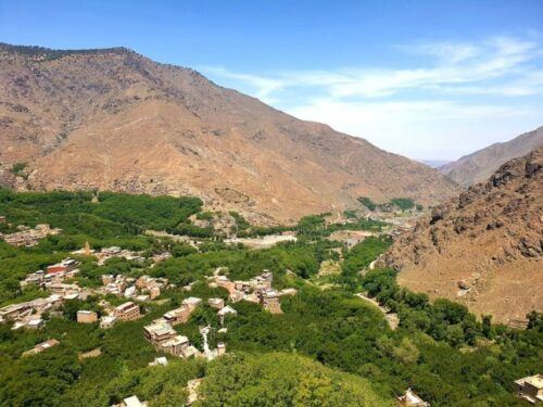 Day Trip: Atlas Mountains & Agafay Desert Guided Tour - Customer Reviews