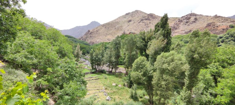 Day Trip To Agafay Desert and Atlas Mountains - Key Points