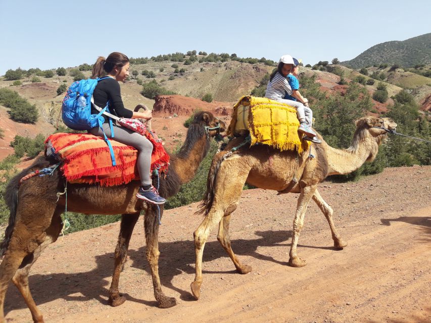 Day Trip To Atlas Mountain and Berber Village From Marrakech - Must-Bring Essentials