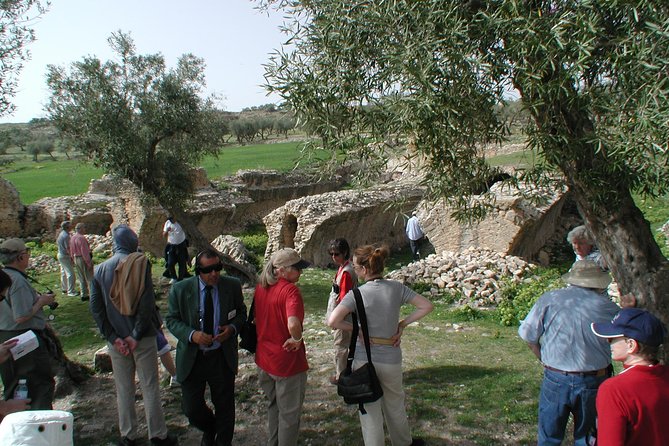 DAY TRIP TO Dougga & Bulla Regia , DEPARTURE FROM Tunis - Common questions