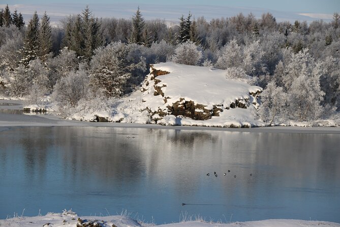 Day Trip to Lake Mývatn and the Nature Baths From Akureyri - Pricing and Booking