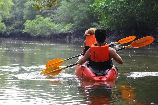 Deep Mangrove and Canyon Kayak Tour in Krabi - Customer Recommendations and Overall Experience