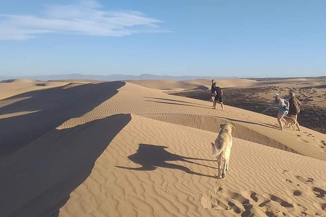 Desert Adventure Trip Half Day - Weather Considerations