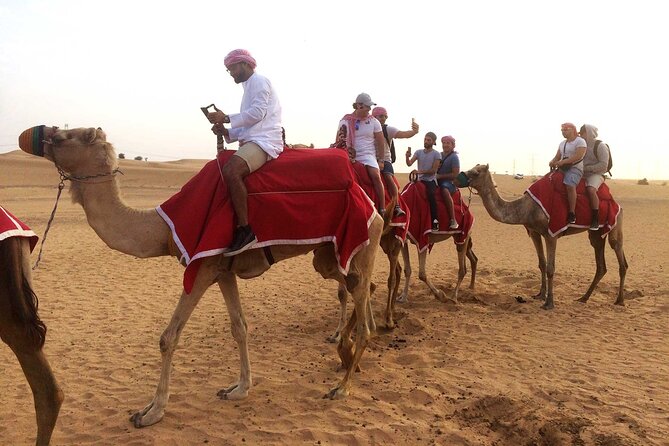 Desert Camel Ride With Live Shows & BBQ Buffet Dinner - Contact and Booking Information