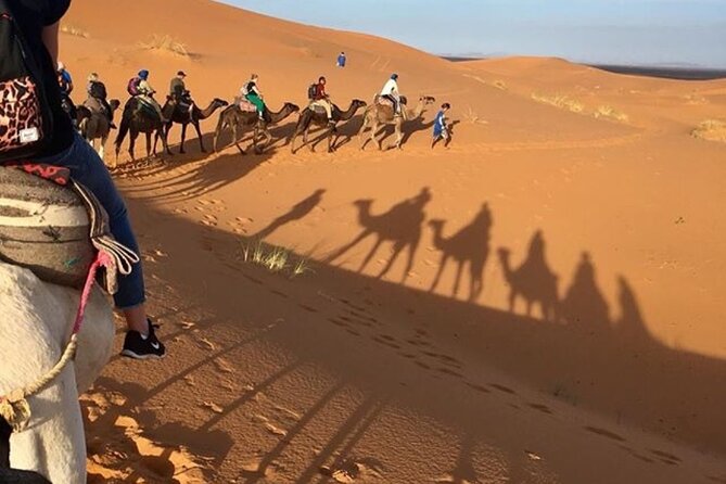 Desert Camping, Camel Ride & Atlas Mountains 3-Day Tour  - Marrakech - Last Words