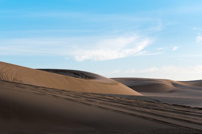 Desert Combo Safari, Camel Ride, Quad Bike and Dune Bashing(All Inclusive) - Service Appreciation and Staff