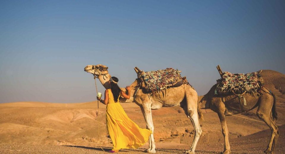 Desert Dreams: Camel Ride & Dinner Show in Agafay - Directions