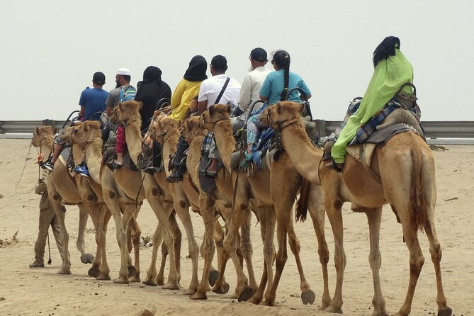 Desert Sunset Camel Ride With Free Tea in The Desert Camp - Additional Information