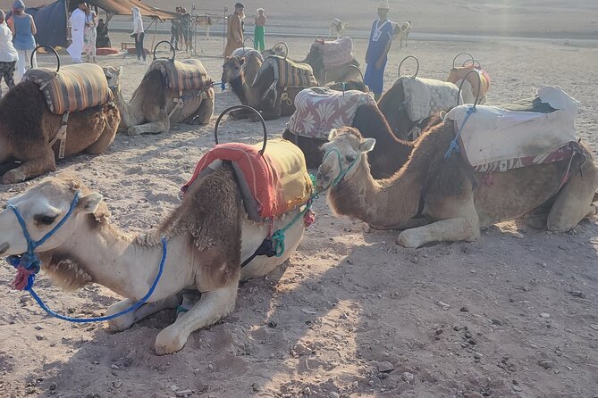 Dinner in Agafay Desert & Berber Villages & Camel Ride & Show - Directions