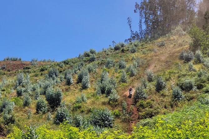 Dirt-Bike Tour in Madeira - Customer Support