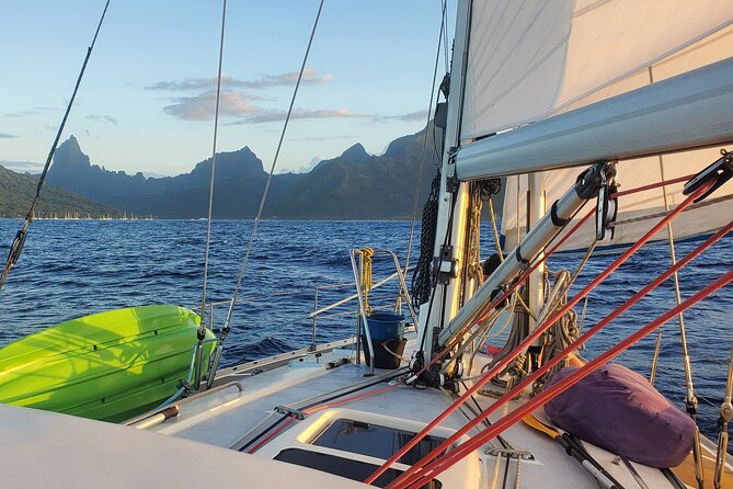 Discover Sailboat Navigation Mori Ora - Sunset - Common questions