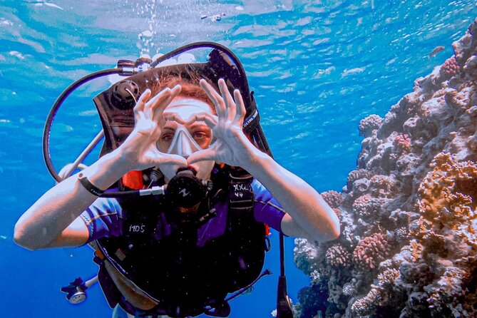 Discover Scuba Diving Sharm El Sheikh - Help and Support Resources