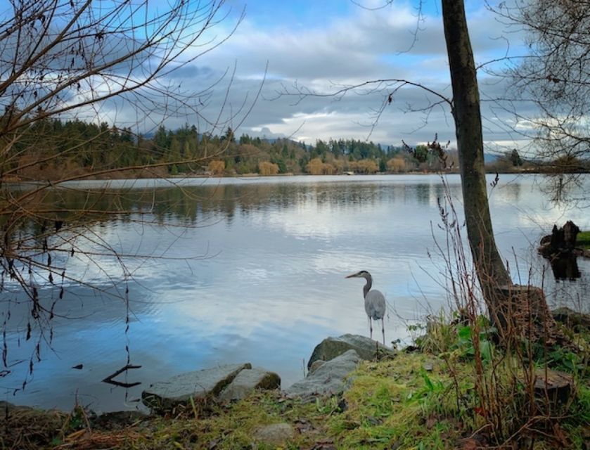 Discover Stanley Park With a Smartphone Audio Walking Tour - Common questions