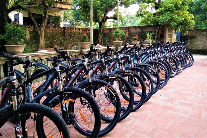 Discover Trang An Natural World Heritage, Bich Dong Pagoda, Cycling Day Tour - Cycling Along Countryside Trails