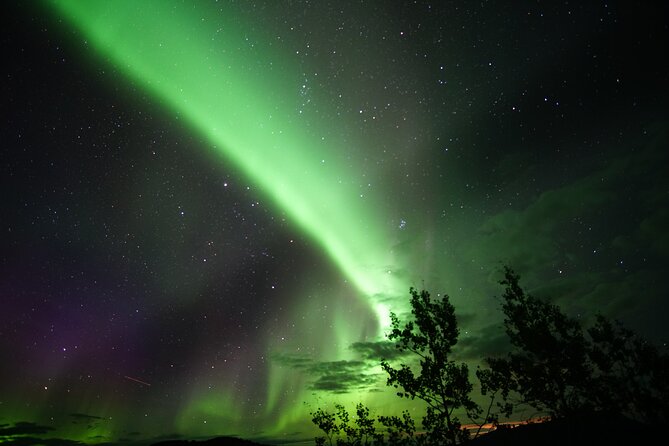 Discover Whitehorse With Northern Lights and Yukon Wildlife Tour - Reviews and Ratings