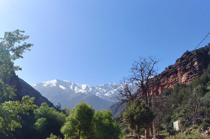 Discovering the Best Valley in Atlas Mountains and Be Inside the Berber Culture. - Common questions