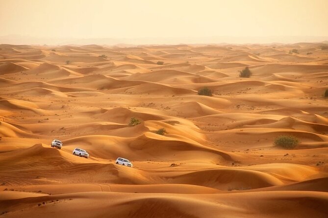 Doha: Desert Safari With Quad Bike ,Camel Ride and Sand Boarding - Common questions