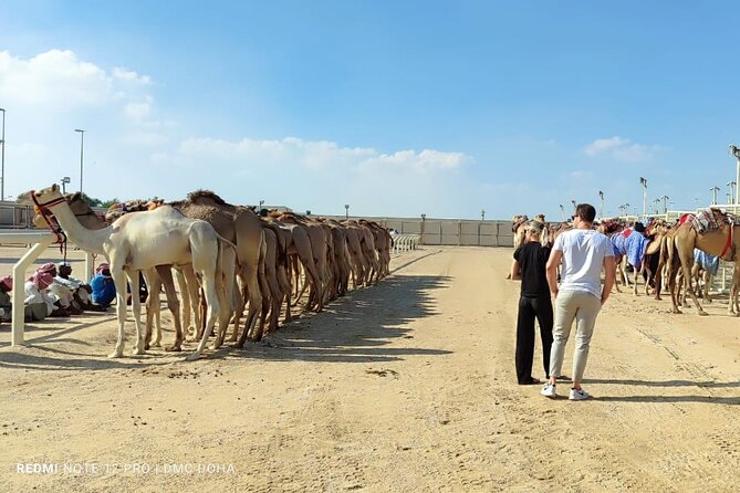 Doha, Qatar: Came Racing Track, Oryx & Sheikh Faisal Museum Tour. - Details on Viator Help Center