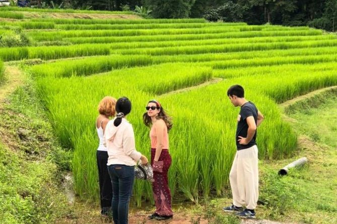 Doi Inthanon and Coffee Plantation Tour  - Chiang Mai - Common questions