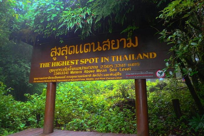 Doi Inthanon National Park 1-Day Tour With Nature Trail Trekking - Mixed Reviews and Improvements