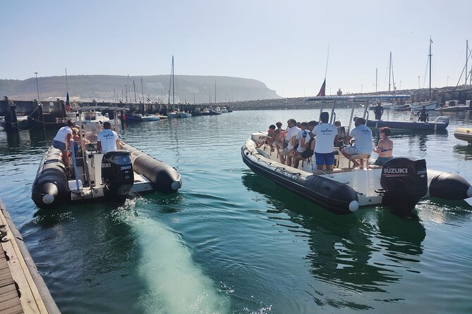 Dolphin Watching and Boat Tour in Sesimbra - Last Words