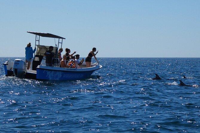Dolphin Watching and Tour in the Arrábida Natural Park - Wildlife Encounters