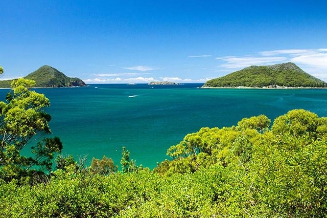 Dolphin Watching Sydney Tours Port Stephens Private Tour - Last Words