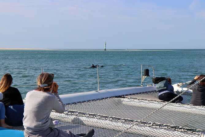 Dolphin Watching Tour by Catamaran From Lisbon - Additional Information